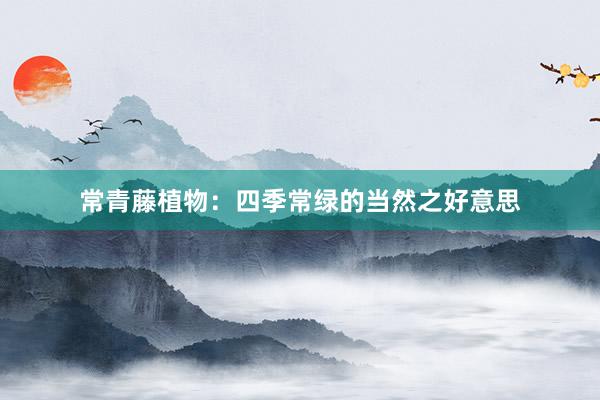 常青藤植物：四季常绿的当然之好意思