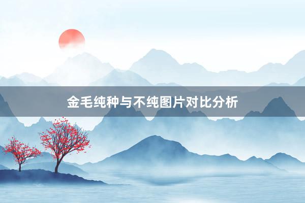 金毛纯种与不纯图片对比分析