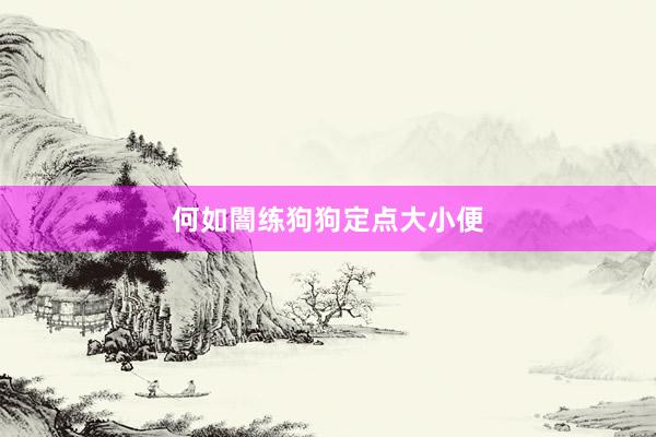 何如闇练狗狗定点大小便