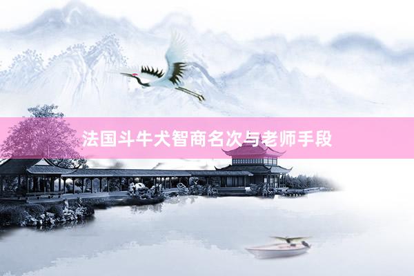 法国斗牛犬智商名次与老师手段