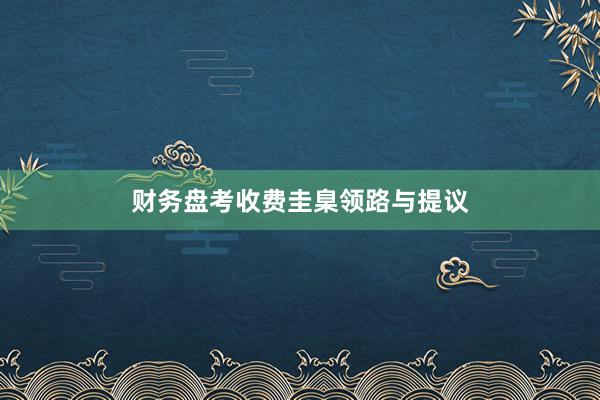 财务盘考收费圭臬领路与提议