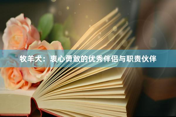 牧羊犬:衷心勇敢的优秀伴侣与职责伙伴